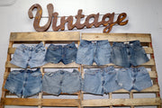 Levis Shorts