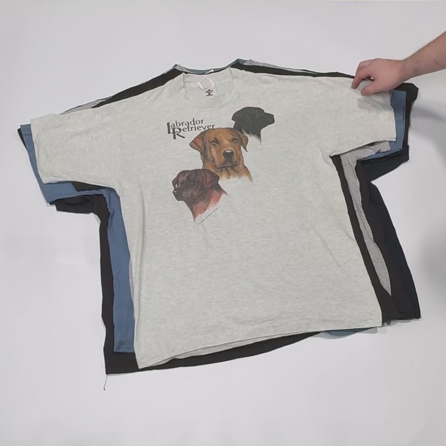Wholesale Animal Graphic T-Shirts
