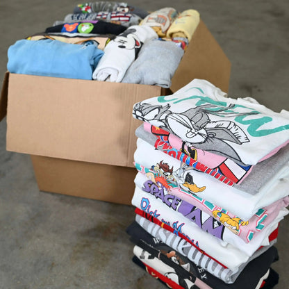 Wholesale Disney & Cartoon Sweatshirts
