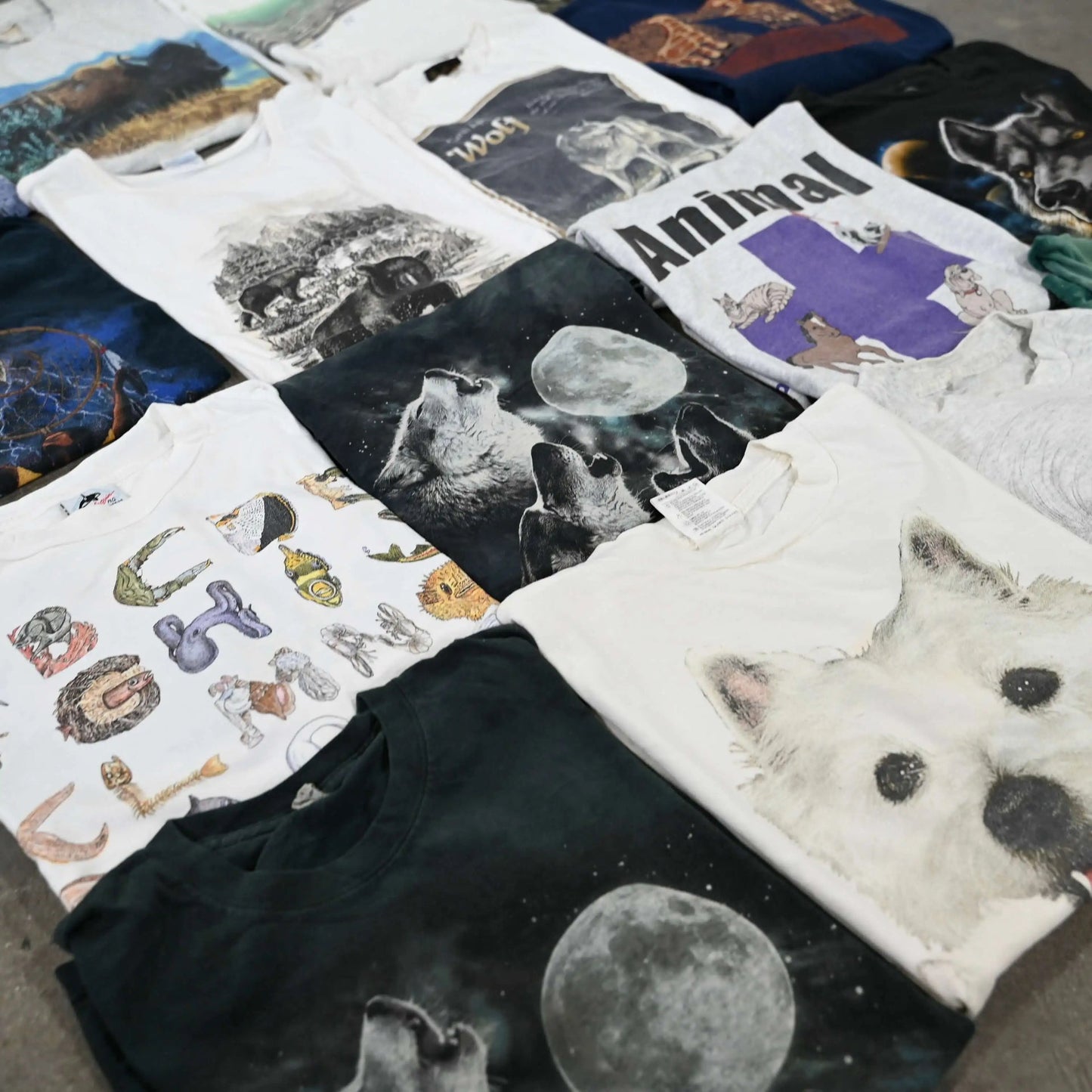 Wholesale Animal Graphic T-Shirts